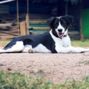 Meet your Posher, Ray